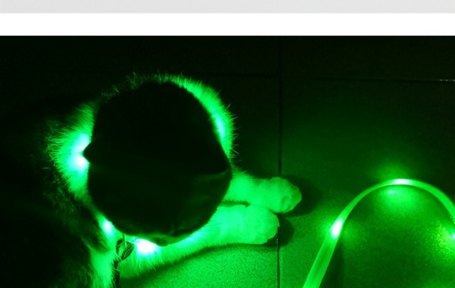 Pet Luminous - rozwijana smycz LED na USB dla psa z litową baterią i świetlistą obrożą - Wianko - 23