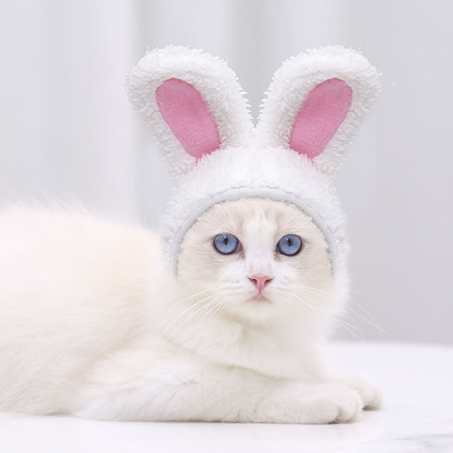 Czapka dla kota biały królik - jesienno-zimowa, ciepła, bawełniana, średniej wielkości - Wianko - 22