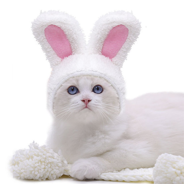 Czapka dla kota biały królik - jesienno-zimowa, ciepła, bawełniana, średniej wielkości - Wianko - 19
