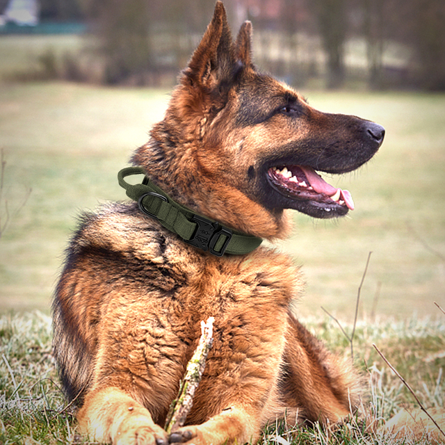 Tytuł dopracowany: Obroża wojskowa taktyczna dla psów niemieckich - średnie i duże rasy - Wianko - 9
