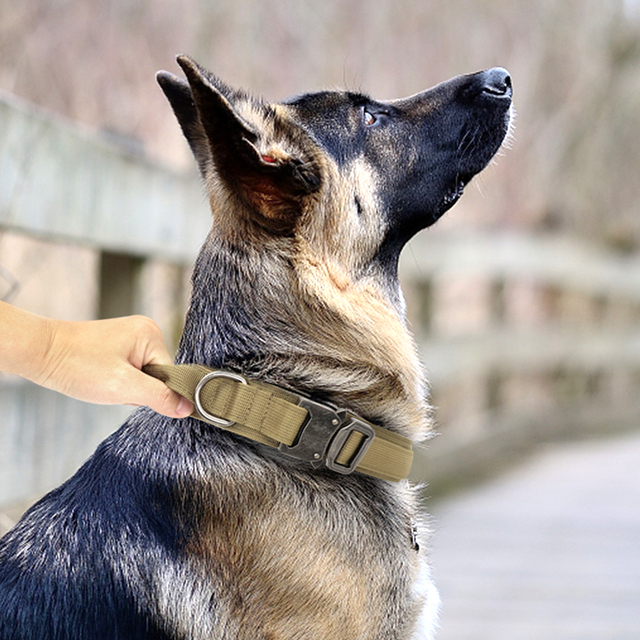 Tytuł dopracowany: Obroża wojskowa taktyczna dla psów niemieckich - średnie i duże rasy - Wianko - 11