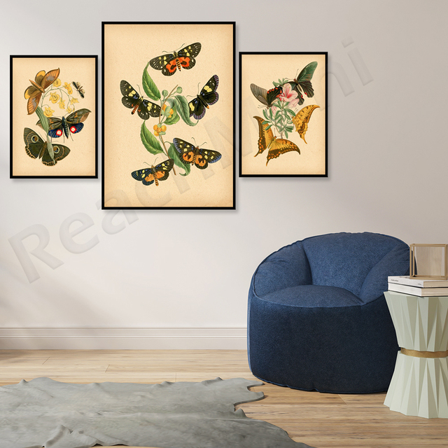 Plakat Vintage Papillon et Fleurs - wrażenie entomologiczne, sztuka ilustrująca owady i kwiaty - dekoracja roślinna - Wianko - 2