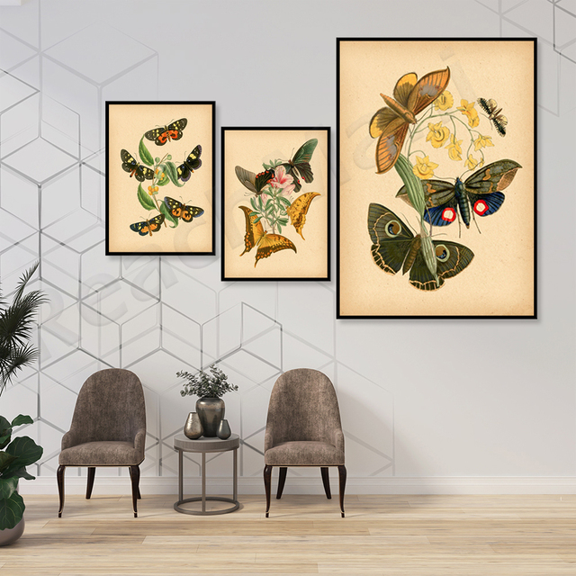 Plakat Vintage Papillon et Fleurs - wrażenie entomologiczne, sztuka ilustrująca owady i kwiaty - dekoracja roślinna - Wianko - 3