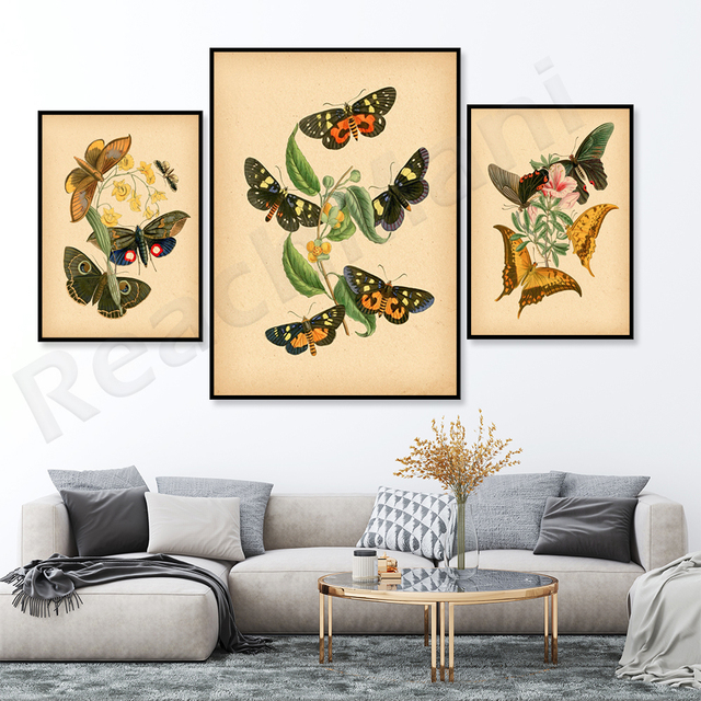 Plakat Vintage Papillon et Fleurs - wrażenie entomologiczne, sztuka ilustrująca owady i kwiaty - dekoracja roślinna - Wianko - 4