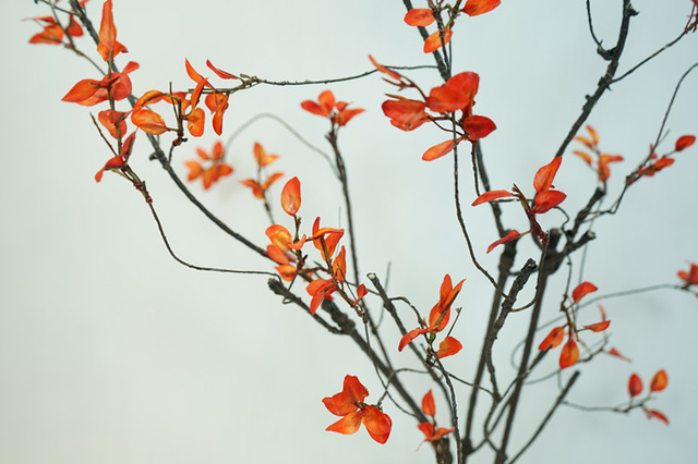 Sztuczny suszony wierzbowy Rattan z jesiennymi liśćmi - dekoracja gałązki winorośli - Wianko - 8