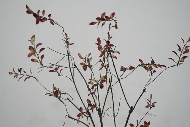 Sztuczny suszony wierzbowy Rattan z jesiennymi liśćmi - dekoracja gałązki winorośli - Wianko - 18