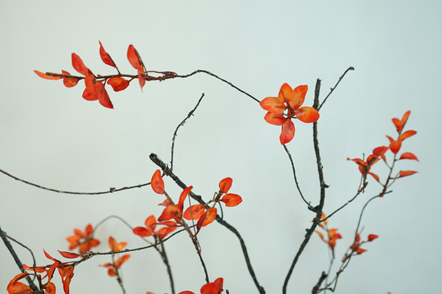 Sztuczny suszony wierzbowy Rattan z jesiennymi liśćmi - dekoracja gałązki winorośli - Wianko - 6