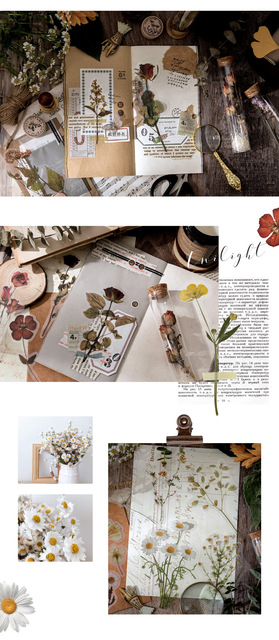 Eucalyptus Plant Series PET - artystyczny papier Vintage Journal, naklejki podróżne do scrapbookingu i dekoracji albumów - Wianko - 8