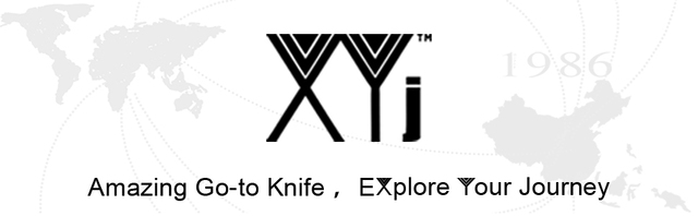 Nożyk kuchenny stalowy Xyj 7'' z matowym wzorem laserowym, ostrze rzeźnickie z plastikową kaburą - Wianko - 1
