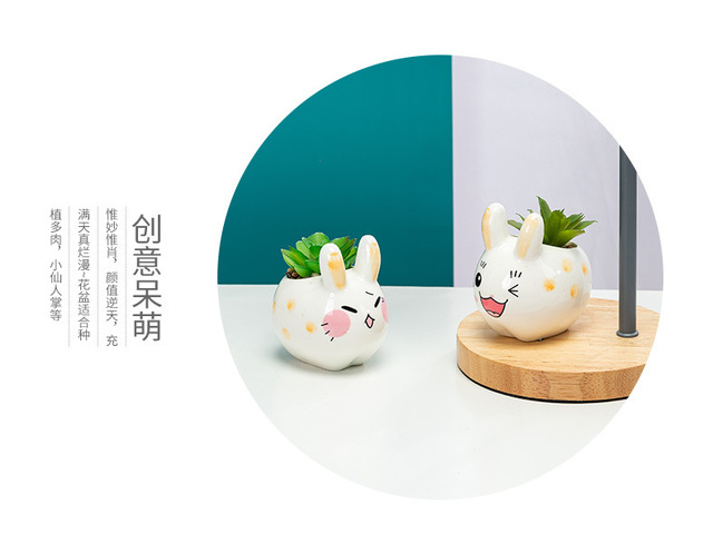 Mini doniczka ceramiczna Cartoon zwierzęta - kreatywny design, stylowa moda ogrodnicza, słodki królik - Wianko - 4
