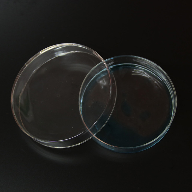Naczynie petriego szklane 120mm x 10 sztuk - laboratorium biologiczno-chemiczne - Wianko - 7