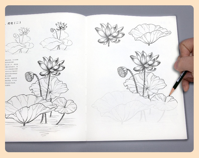 Szkicownik kwiatów zwierząt - samouczek rysowania linii, tradycyjne chińskie malarstwo ręcznie malowane kolorowanki - Wianko - 8