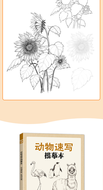 Szkicownik kwiatów zwierząt - samouczek rysowania linii, tradycyjne chińskie malarstwo ręcznie malowane kolorowanki - Wianko - 11