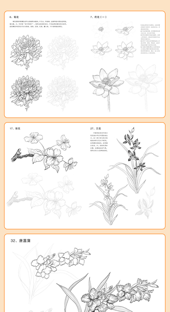 Szkicownik kwiatów zwierząt - samouczek rysowania linii, tradycyjne chińskie malarstwo ręcznie malowane kolorowanki - Wianko - 9