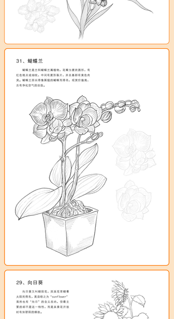 Szkicownik kwiatów zwierząt - samouczek rysowania linii, tradycyjne chińskie malarstwo ręcznie malowane kolorowanki - Wianko - 10