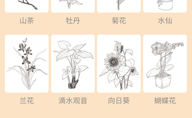 Szkicownik kwiatów zwierząt - samouczek rysowania linii, tradycyjne chińskie malarstwo ręcznie malowane kolorowanki - Wianko - 4