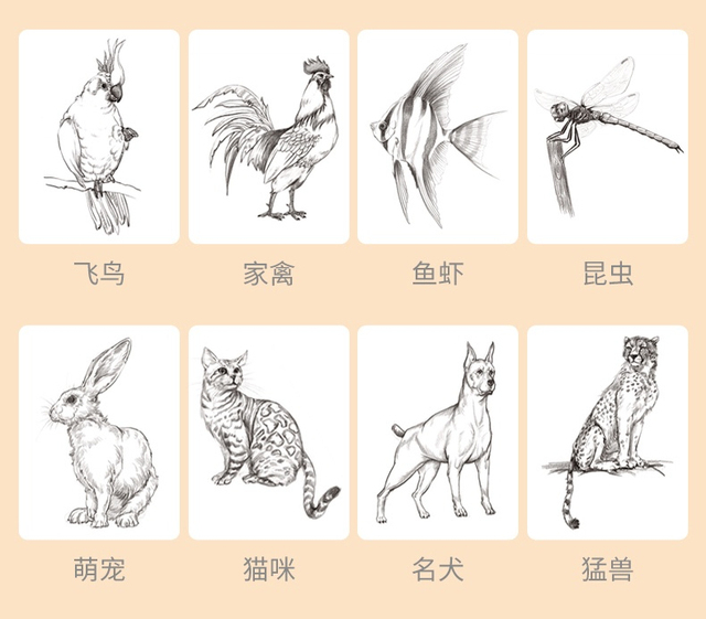 Szkicownik kwiatów zwierząt - samouczek rysowania linii, tradycyjne chińskie malarstwo ręcznie malowane kolorowanki - Wianko - 13