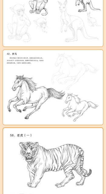 Szkicownik kwiatów zwierząt - samouczek rysowania linii, tradycyjne chińskie malarstwo ręcznie malowane kolorowanki - Wianko - 18