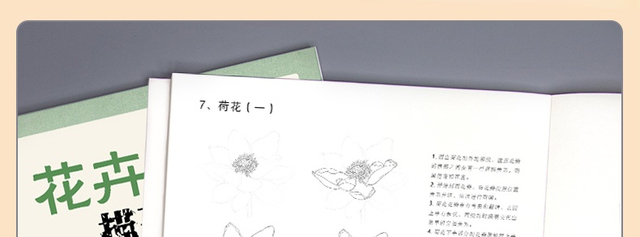 Szkicownik kwiatów zwierząt - samouczek rysowania linii, tradycyjne chińskie malarstwo ręcznie malowane kolorowanki - Wianko - 6