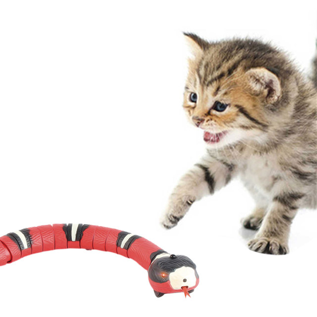 Inteligentna wąż zabawka dla kotów - interaktywne elektryczne akcesoria z funkcją wyczuwania, ładowane przez USB, idealny prezent dla dzieci - Wianko - 1