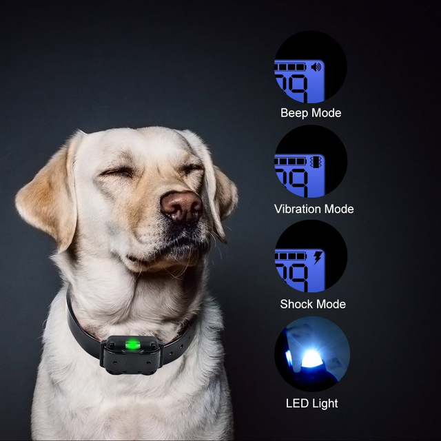 Automatyczna elektryczna obroża treningowa dla psów - Wianko - 5