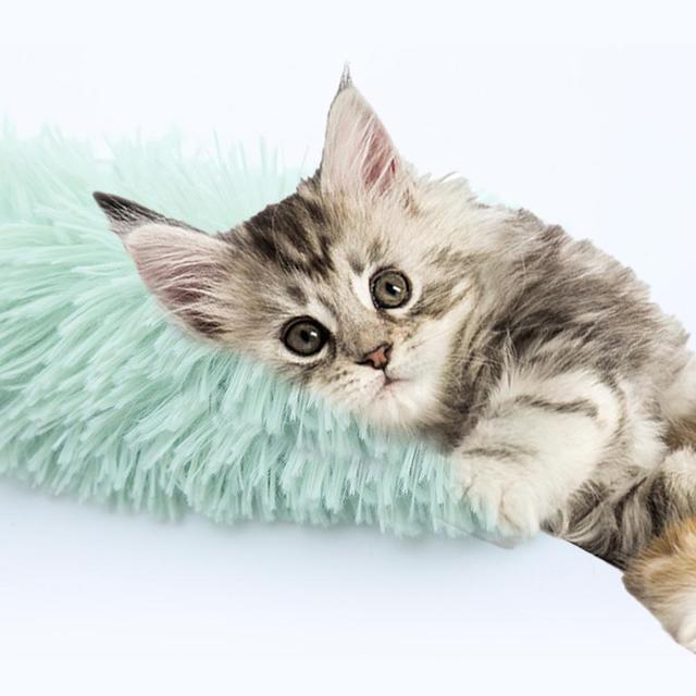 Pluszowa poduszka Kot z dźwiękowym papierem - interaktywna zabawka dla kociaków - Wianko - 5