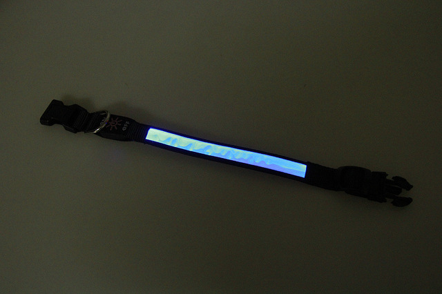 Obroża skórzana odblaskowa z lampką USB do ładowania - personalizacja, trwałość, prezent urodzinowy dla psa - Wianko - 29
