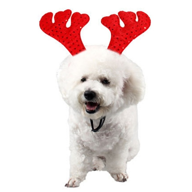 Kocie i psie czapki z cekinami w stylu bożonarodzeniowym z porożem i kątem - dekoracja na sylwestra - Wianko - 2