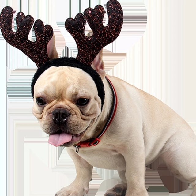 Kocie i psie czapki z cekinami w stylu bożonarodzeniowym z porożem i kątem - dekoracja na sylwestra - Wianko - 1