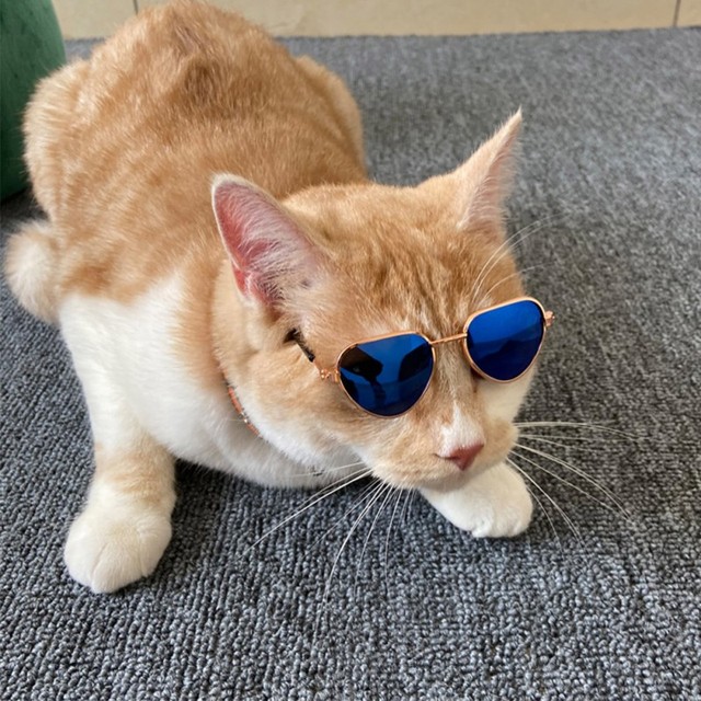 Okulary przeciwsłoneczne dla kotów - zabawka w formie małego psa z zestawem rekwizytów (kapelusz, słomkowy) do zdjęć - idealne akcesorium dla domowych kotów - Wianko - 14