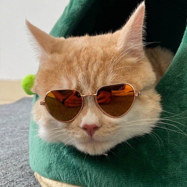 Okulary przeciwsłoneczne dla kotów - zabawka w formie małego psa z zestawem rekwizytów (kapelusz, słomkowy) do zdjęć - idealne akcesorium dla domowych kotów - Wianko - 13