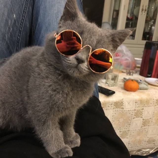 Okulary przeciwsłoneczne dla kotów - zabawka w formie małego psa z zestawem rekwizytów (kapelusz, słomkowy) do zdjęć - idealne akcesorium dla domowych kotów - Wianko - 9