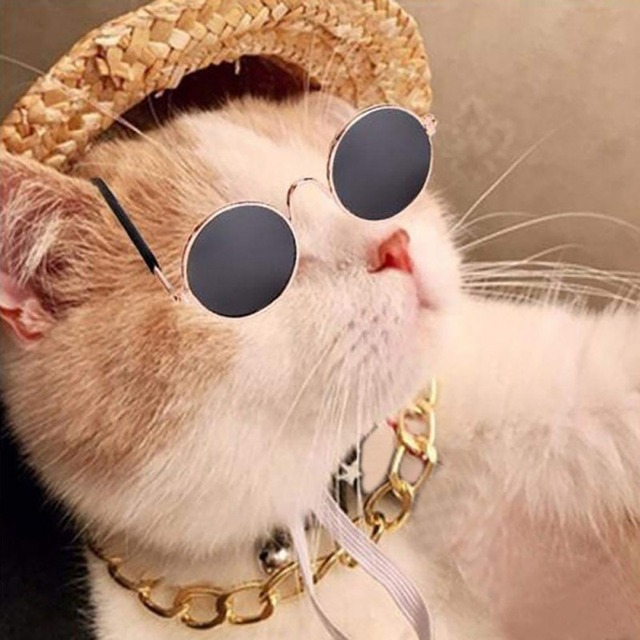 Okulary przeciwsłoneczne dla kotów - zabawka w formie małego psa z zestawem rekwizytów (kapelusz, słomkowy) do zdjęć - idealne akcesorium dla domowych kotów - Wianko - 5