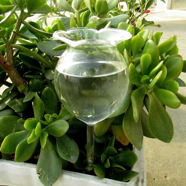 Automatyczne podlewanie roślin kwiatowych - system zraszający szkło ogród podlewania - Wianko - 1