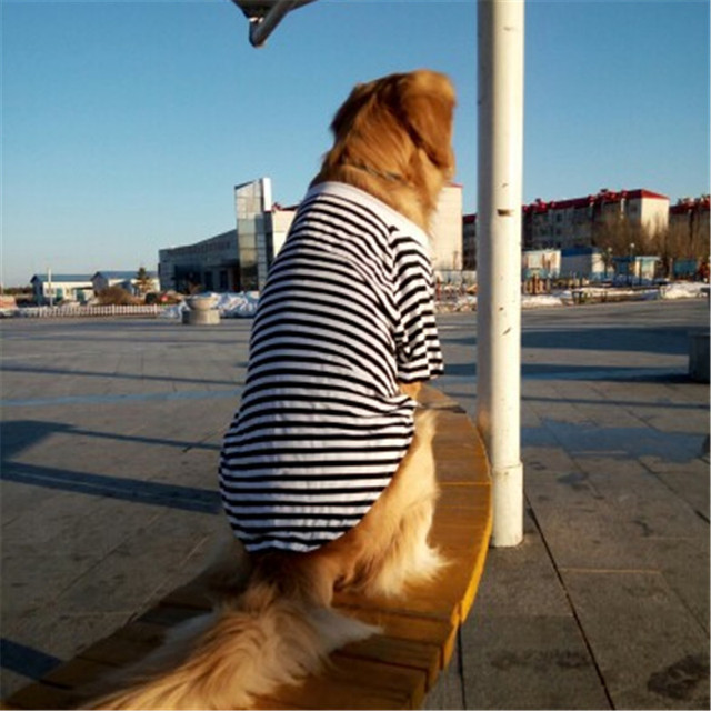 Ubranka letnie dla dużych psów - T-shirt bawełniany, piżama, koszulka - Samoyed Golden Retriever Labrador 2021 - Wianko - 10