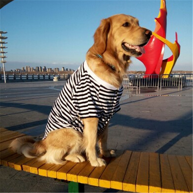 Ubranka letnie dla dużych psów - T-shirt bawełniany, piżama, koszulka - Samoyed Golden Retriever Labrador 2021 - Wianko - 12