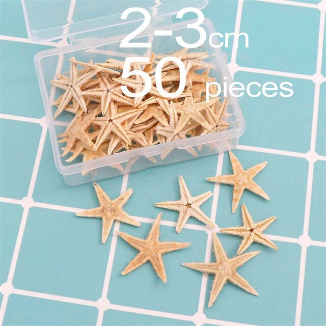 Pudełko okrągłe z 100 sztukami muszli plażowych i naturalnych rozgwiazd - dekoracje DIY dla ślubu i domu - Wianko - 24
