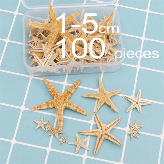 Pudełko okrągłe z 100 sztukami muszli plażowych i naturalnych rozgwiazd - dekoracje DIY dla ślubu i domu - Wianko - 26
