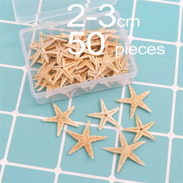 Pudełko okrągłe z 100 sztukami muszli plażowych i naturalnych rozgwiazd - dekoracje DIY dla ślubu i domu - Wianko - 3