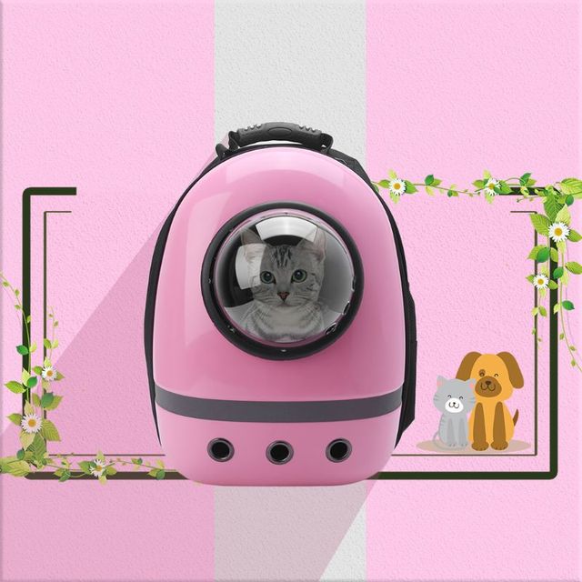 Plecak podróżny kapsuła kosmiczna dla kota - nosidełka oddychające, wielokolorowe, 2019 - Wianko - 12
