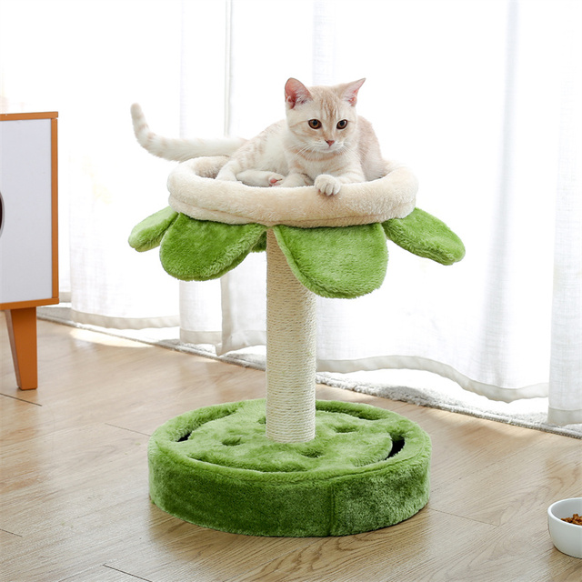 Kaktusowy drapak dla kota z sizalowym linkiem, idealny dla młodych i dorosłych kotów - Wianko - 24