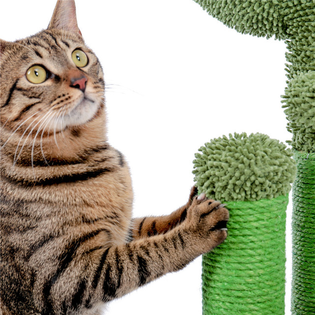 Kaktusowy drapak dla kota z sizalowym linkiem, idealny dla młodych i dorosłych kotów - Wianko - 12