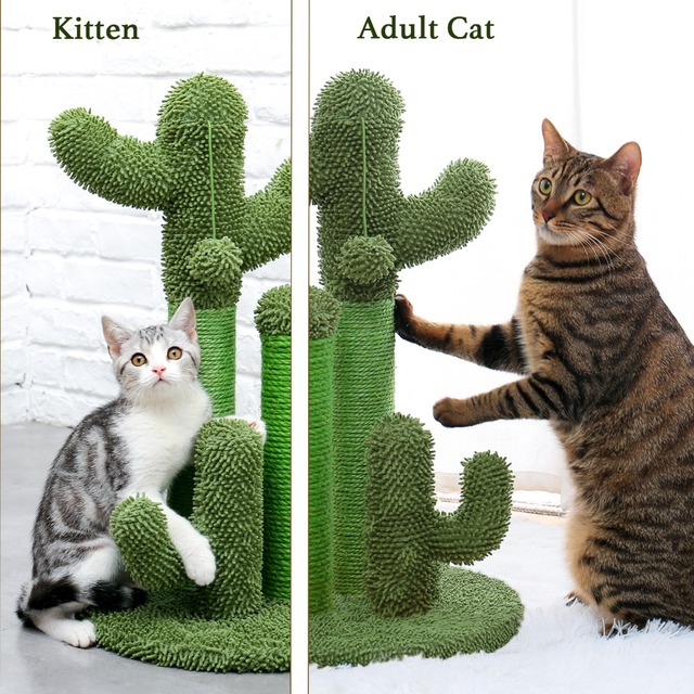 Kaktusowy drapak dla kota z sizalowym linkiem, idealny dla młodych i dorosłych kotów - Wianko - 5