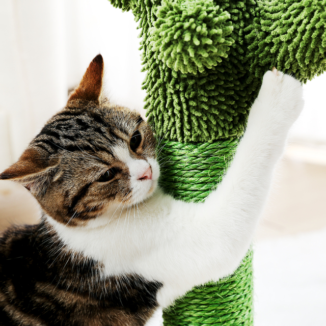 Kaktusowy drapak dla kota z sizalowym linkiem, idealny dla młodych i dorosłych kotów - Wianko - 18
