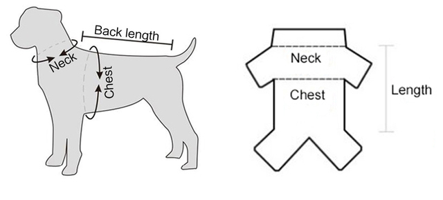 Dwunożne polarowe ubranka zimowe dla małych psów – aksamitna koszula, sweter, płaszcz, kurtka – dla kotów i szczeniaczków - Wianko - 1