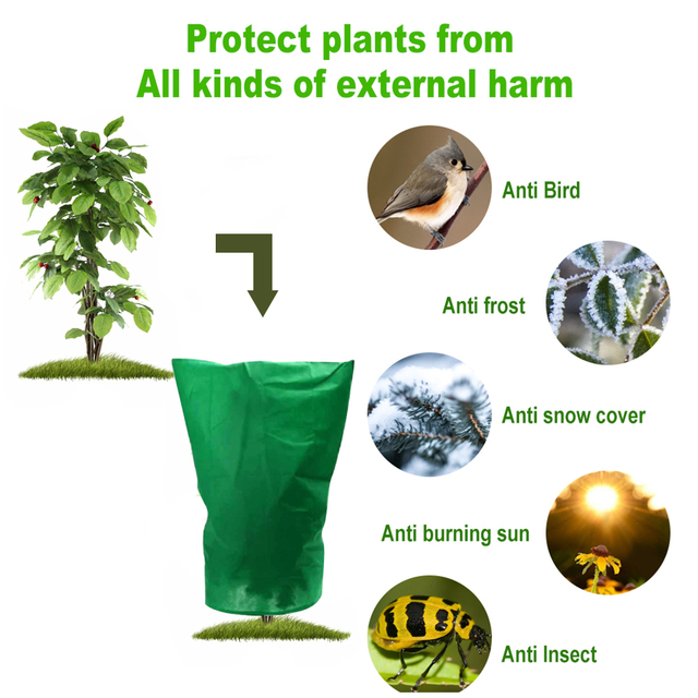 Osłona zimowa przed mrozem dla roślin - krzewa, drzewa, rośliny o delikatnej strukturze, rośliny, które wymagają ochrony przed słońcem - Wianko - 2