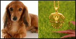 Antyczny naszyjnik z wisiorkiem Yorkshire Terrier - biżuteria Retro złoto/srebro - Wianko - 17