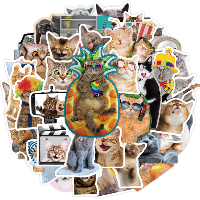 Mieszane rozmiary kotów naklejki YAMIOW - 65 sztuk, zwierzęce, anime, zabawki, dla dzieci, na laptopa, deskorolkę, gitarę, rower, walizkę - Wianko - 5