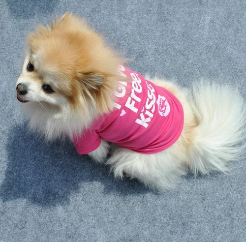 Koszulki z krótkim rękawem dla psów wykonane z bawełny - oddychające i wygodne - Wianko - 19