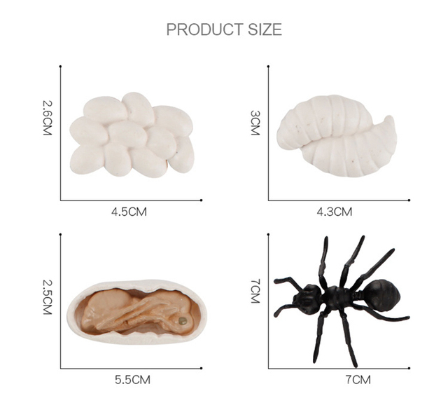 Model symulacyjny żaba, mrówka, komar, żółw morski, kurczak - zestaw cyklu wzrostu i życia zwierząt (Figurki akcji) - Wianko - 11